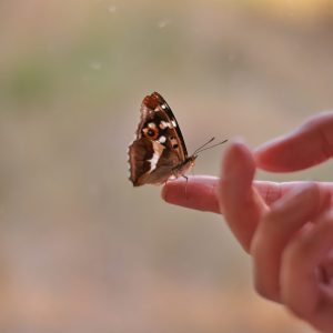 GUIDING PEOPLE THROUGH CHANGE + 60 minutes of consultation with Cristina Muntean (Copy)